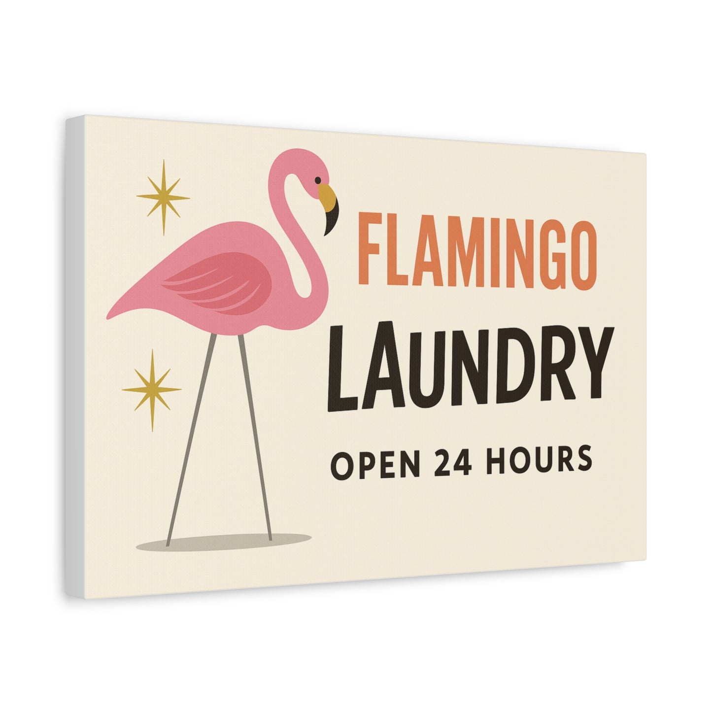 Make Laundry Day Fabulous 🦩✨