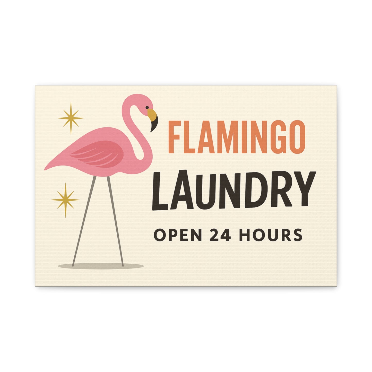 Make Laundry Day Fabulous 🦩✨